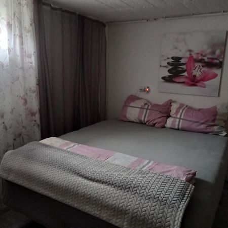 60 M² Ferienapartment Zentrumsnahe Mit Gartenbenutzung ชไตอาร์ ภายนอก รูปภาพ